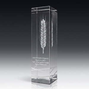 Trophy ROYAL in crystal glass – customisable award, product view 3