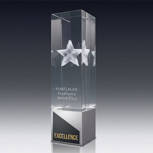 Trophy ALU aus Kristallglas – personalisierbarer Award, Produktansicht 2
