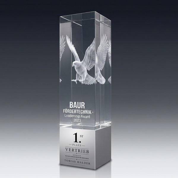 Trophy ALU aus Kristallglas – personalisierbarer Award, Produktansicht 3
