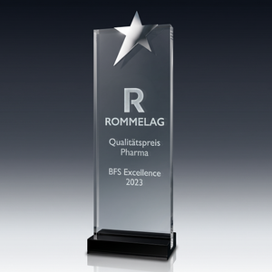 Trophy STAR aus Kristallglas – personalisierbarer Award, Produktansicht 1