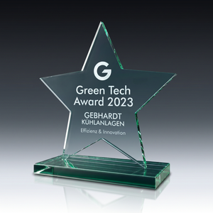 Trophy STARLETT aus Kristallglas – personalisierbarer Award, Produktansicht 2