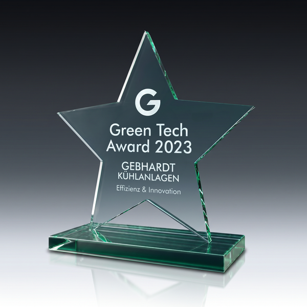 Trophy STARLETT aus Kristallglas – personalisierbarer Award, Produktansicht 2