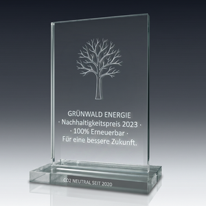 Trophy WINDOW in crystal glass – customisable award, product view 3