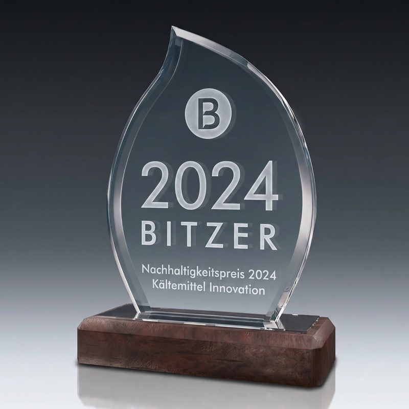 Trophy-WOODEN FLAME aus Kristallglas – personalisierbarer Award, Produktansicht 1