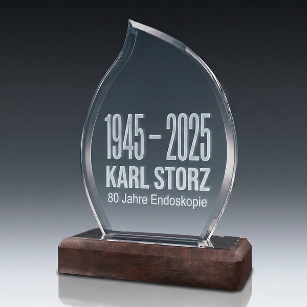 Trophy-WOODEN FLAME in crystal glass – customisable award, product view 2