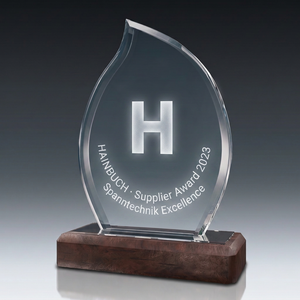 Trophy-WOODEN FLAME in crystal glass – customisable award, product view 3