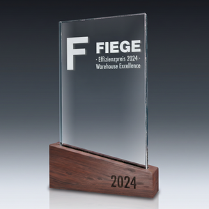 Trophy-WOODEN SLOPE in crystal glass – customisable award, product view 3