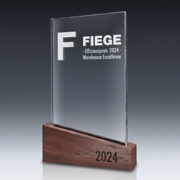 Trophy-WOODEN SLOPE in crystal glass – customisable award, product view 3